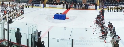 Hockey Newfoundland & Labrador Provincial Championships